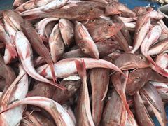 -青岛沙子口国家中心渔港