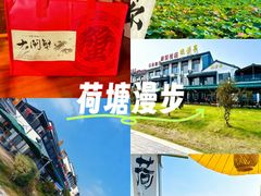 -七的湖·晚芳亭·阳澄湖农家菜·大闸蟹(莲花岛店)