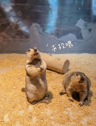 -酷嗒动物文化乐园(cutezoo西溪乐天城店)