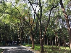 -东湖落雁景区