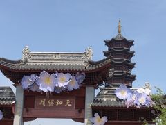 -江苏三台山国家森林公园