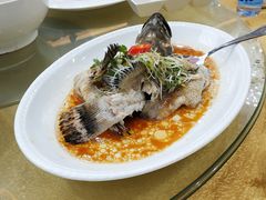 清蒸桂花鲈鱼-渔民新村(番禺总店)