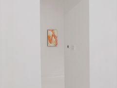 -胶囊画廊