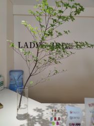 -LADYGIRL·Nail·Lash·美甲美睫