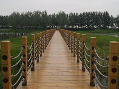 -白渔泡湿地公园