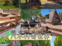 -尺木神奇世界