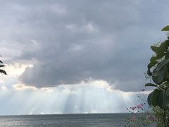 -梵猫·轻客栈(大理古城北门店)