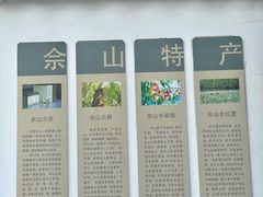 -上海佘山国家森林公园西佘山园