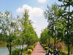 -白鹭湾湿地公园