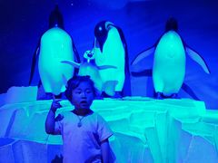 -成都浩海立方海洋公园