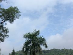 -南宁良凤江国家森林公园