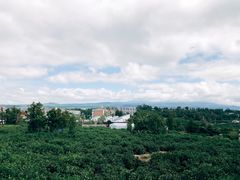 -朝安泰迪熊博物馆