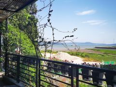 -阿南海鲜