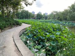-南翠屏公园