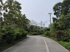 -石螺口海滩