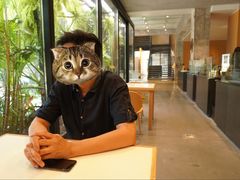 -Soloist 独奏公司(798店)