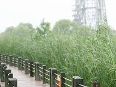 -太湖湖滨国家湿地公园-停车场