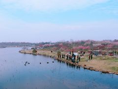 -上海海湾国家森林公园