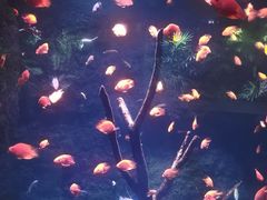 -南昌海洋公园
