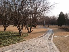-达活泉公园