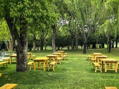 -养云安缦吧THE BAR