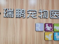 -瑞鹏·疫苗·绝育·宠物医院(广九店)