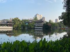 -荔湾湖公园