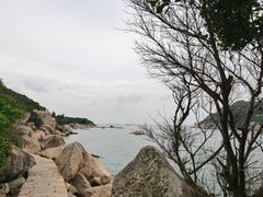 -东澳岛