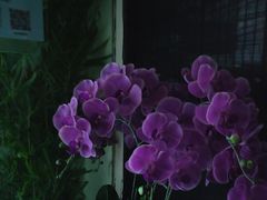 -上足·影院足道·SPA(红岭店)
