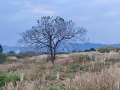 -良渚古城遗址公园