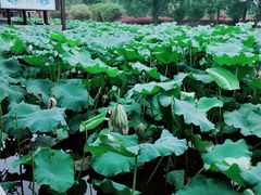 -千龙湖生态旅游度假区