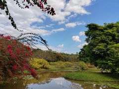 -中国科学院西双版纳热带植物园