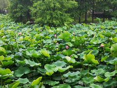 -3W咖啡(国家软件园店)