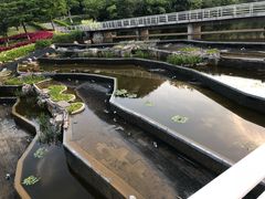-厦门国家会计学院