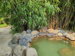 -张家港金凤凰度假村温泉