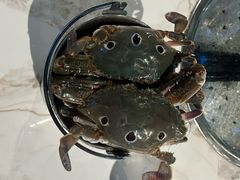 -争先鲜·蒸汽海鲜自助·鲜切牛肉