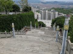 -铁山坪森林公园