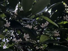 -老乡鸡(武汉江腾广场店)