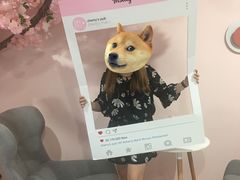 -樱花里音乐餐吧·牛扒椰子鸡(东圃店)