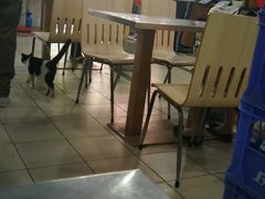 大堂-邢老三肉丸糊辣汤(西安总店)