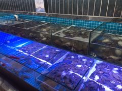 -海韵之星邮轮水会(明发商业广场店)