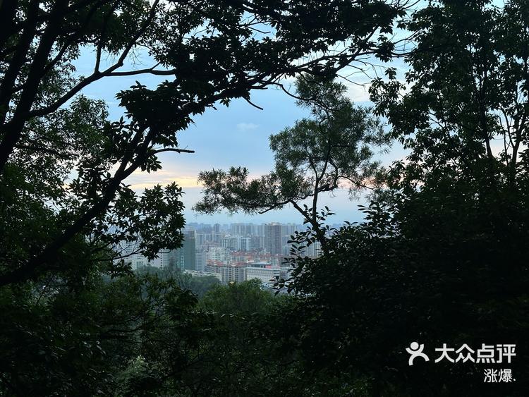 顺德旗峰山公园图片