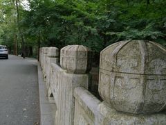 -西湖风景区十里琅珰-五云山