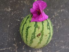 -古夜郎漂流景区