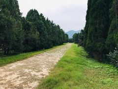 -秦始皇帝陵博物院-丽山园