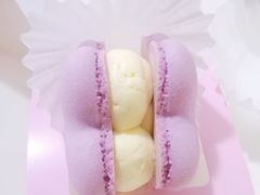 -好利来(四季青店)