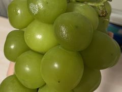 -果多美(三里河店)