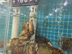 -潮港海鲜家常菜(刘庄店)