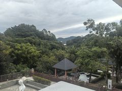 -罗浮山嘉宝田森林温泉度假酒店