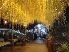-张鸟园农家乐(张鸟园店)